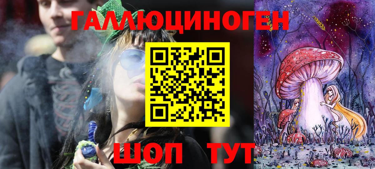 Псилоцибиновые грибы Psilocybe  Вход с VPN  где купить наркоту  Тверь 